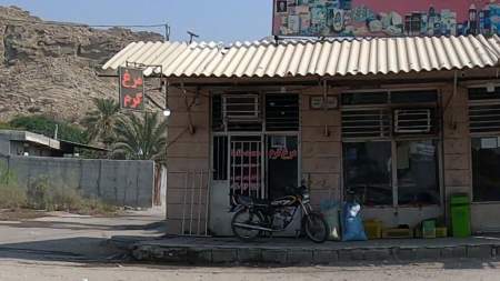 مرغ گرم محمد طاها 