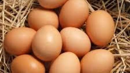 فروش تخم مرغ محلی