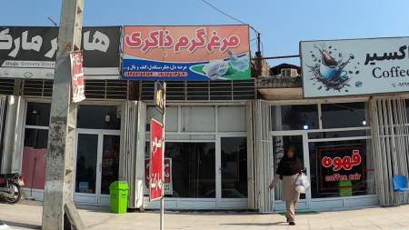 مرغ گرم ذاکری