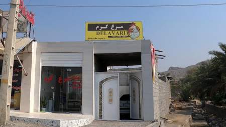 مرغ گرم حامدی
