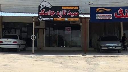 ماهی و مرغ فروشی