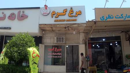 مرغ گرم دلاوری