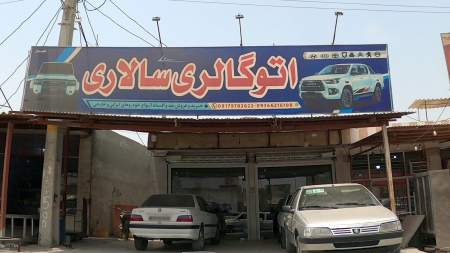 اتوگالری سالاری