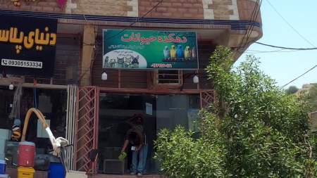 دهکده حیوانات